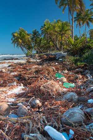 Beach plastic pollution. Plastic bottles and other trash on the beach sandsの写真素材