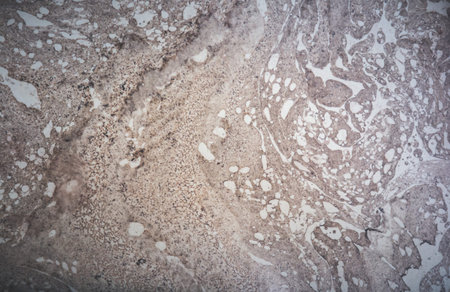 Detail of marble stone texture.