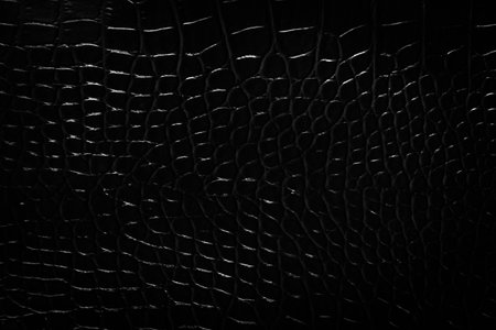 Black leather texture background.の写真素材
