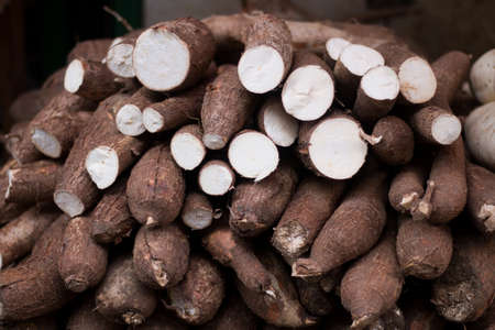 Organic cassava (manioc, manioc, cassava, brazilian cuisine) cut into pieces.の写真素材