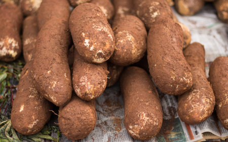 Raw organic cassava (manioc, manioc, cassava, brazilian cuisine).