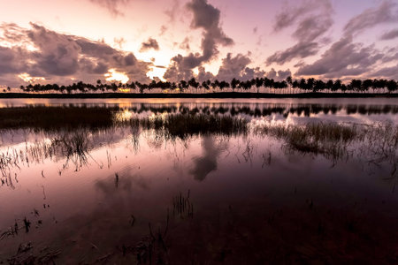 Landscape with sunrise on the coast of Costa do SauÃ­pe in Bahia Brazil.