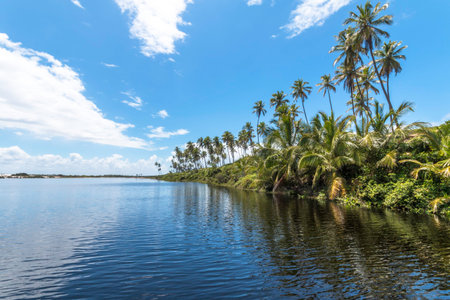 Tropical landscape with coconut trees on an island on the Costa do SauÃ­pe in Bahia Brazil.