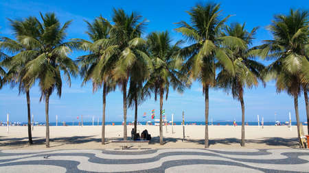 Coconut trees on Copacabana beach Rio de Janeiro Brazil.の写真素材