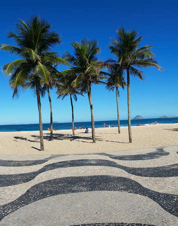 Coconut trees on Copacabana beach Rio de Janeiro Brazil.の写真素材