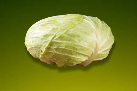 Fresh cabbage isolated with green gradient background.の写真素材