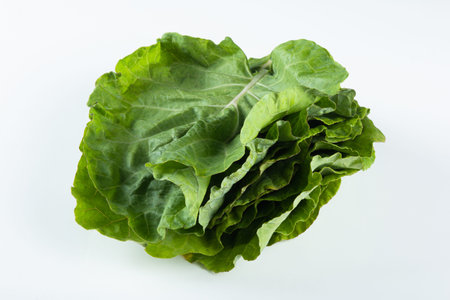 Fresh green lettuce leaves on white background.