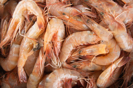 View Fresh shrimp in the bowl top view.の写真素材