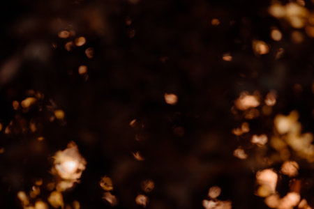 Texture background with blurred autumn vegetation.の写真素材