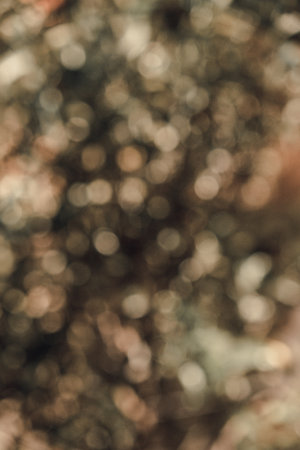 Texture background with blurred autumn vegetation.の写真素材