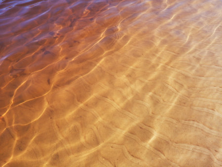 Surface of golden river water. Water texture. transparent golden water.の写真素材