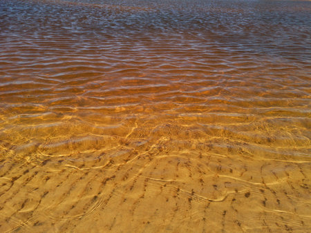 Surface of golden river water. Water texture. transparent golden water.の写真素材
