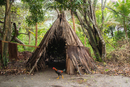 typical indigenous house in the south of Bahia Brazil.
