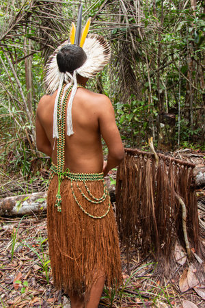 TupinambÃ¡ Indian with typical clothing extracting piassava from the forest.の写真素材