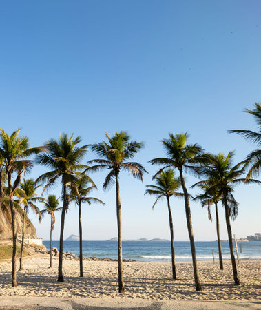 Sunset view of Leme and Copacabana beach with coconut trees in Rio de Janeiro Brazil.