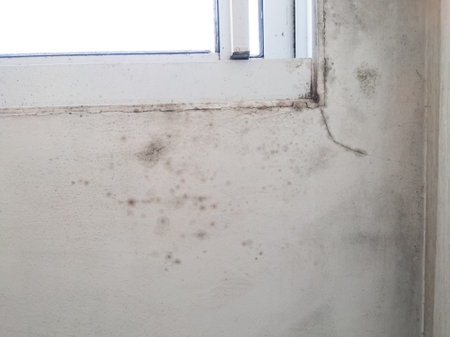 mold fungus on white window wall. Dampness problemの写真素材