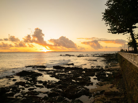 Sunset view on the edge of Barra in Salvador Bahia Brazil.の写真素材