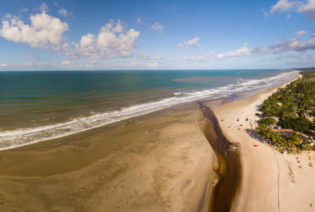 Aerial view of Cururupe beach in IlhÃ©us Bahia Brazilの写真素材