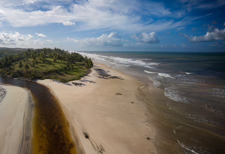 Aerial view of Cururupe beach in IlhÃ©us Bahia Brazilの写真素材