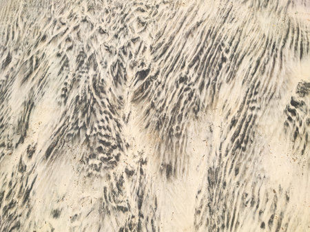 Wet sand texture with ripples. Natural background.の写真素材