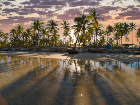 Tropical beach at sunset with palm trees reflecting on wet sand creating a serene and warm atmosphere.の写真素材