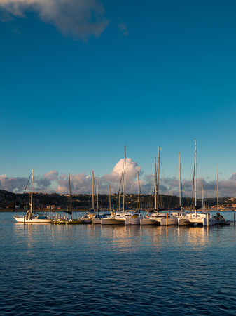 Sailboats docked in a calm harbor under a blue sky.の写真素材