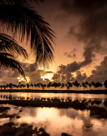 Tropical palm tree silhouette at sunset by calm water with dramatic clouds and reflections.の写真素材