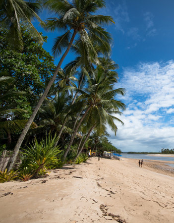 Boipeba Bahia Island. Tropical beach with palm trees blue sky and ocean in a paradise setting.の写真素材