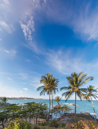 View of Pernambuco Hill in Ilheus Bahia Brazil.の写真素材