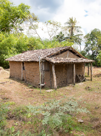 Rustic clay house with wooden roof in rural Brazil surrounded by trees and dry grass.の写真素材
