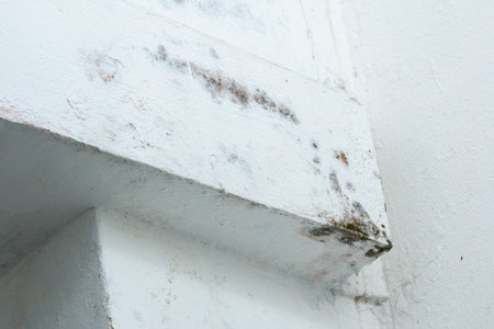 Mold on white painted concrete wall.の写真素材