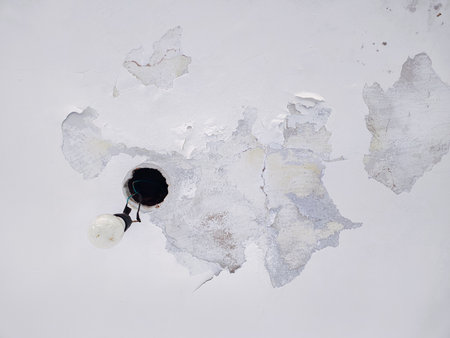 Peeling ceiling paint with exposed bulb.の写真素材