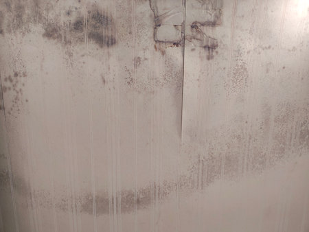 Mold and moisture stains on walls.の写真素材