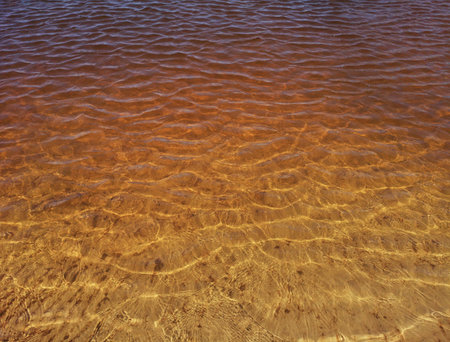 Golden ripples in clear shallow water.