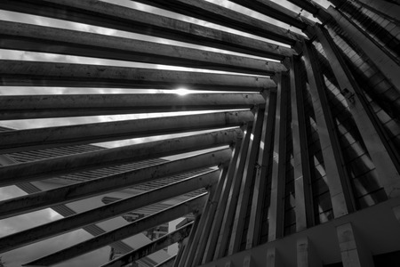 Oviedo, Asturias, Spain - Agost 09, 2017: Exhibition and Congress center Ciudad de Oviedo in Asturias. Designed by architect Santiago Calatrava, inaugurated in 2011 Spain. Picture in black and whiteのeditorial素材