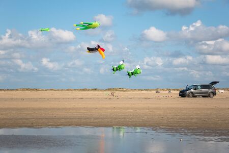Colorful Kites Two kites in shapes of toucan, bees and a frog in the beach with the blue sky in the backgroundの写真素材