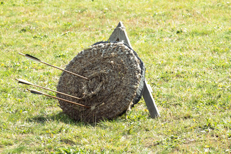 Some arrows nailed in a straw target for training with arrows and spears