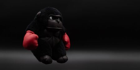 Stuffed gorilla boxer with angry face posing on a dark background. Boxing conceptの写真素材