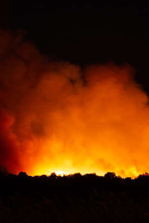 S'Albufera, Majorca, Spain - September 26 2020: The fire that lasts more than 24 hours in s'Albufera in the area between Muro and Can Picafort (Majorca) out of controlのeditorial素材