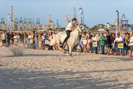Pinedo (Valencia), Spain - September 17, 2022: A jockey riding a white horse at high speed in a traditional bareback race on the beach of Pinedo, Valenciaのeditorial素材