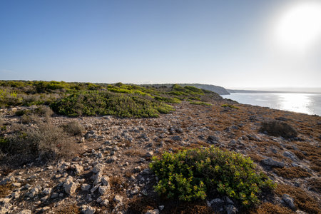 Mediterranean landscape, rocky and shrubby by the sea on a hot uncrowded day in the south of the island of Menorca, Balearic Islands, Spain.の写真素材