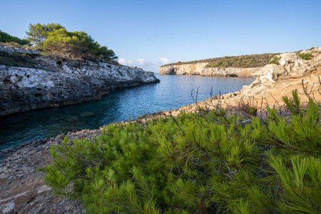 Coastal landscape with accidental rocky seashores between the water surrounded by natural mountainous landscape on the island of Menorca with pine tree in foreground. nature backgroundの写真素材