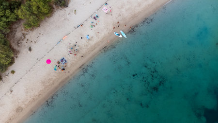 Top view of a natural sandy beach with calm, transparent waters, trees next to the sand, and people sunbathing with some stand up boards. Summer travel conceptの写真素材