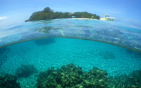 a paradise island and a reef in the Caribbean Seaの写真素材