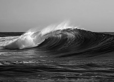 a beautiful wave in the pacific oceanの写真素材