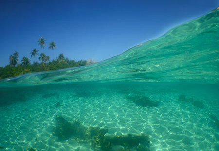 a paradise island in the Caribbean Sea