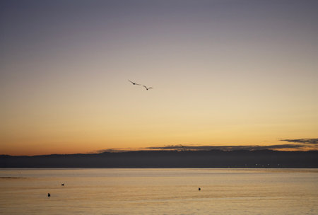 a sunset in the seaの写真素材