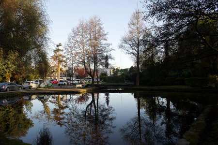 a lagoon on a university campus in Concepcion Chileの写真素材