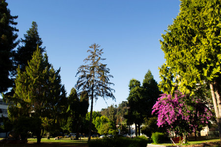 the city of Concepción in southern Chileの写真素材