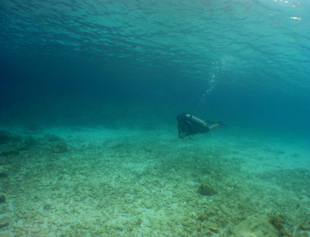 A scuba diver explores a coral reef in the tropical waters of Curaçao. The image captures the beauty of the Caribbean Seaの写真素材